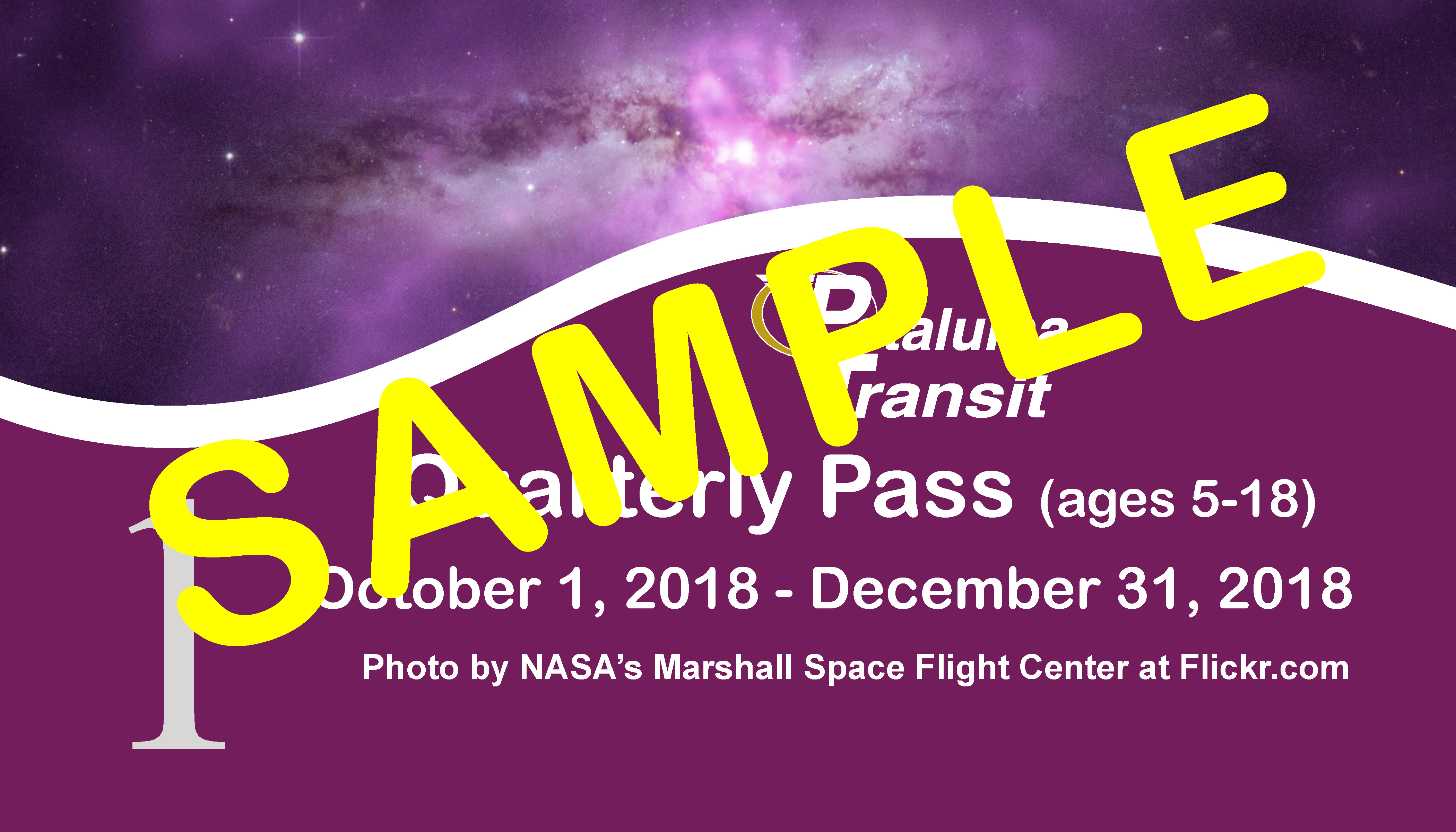 Youth Quarterly Pass