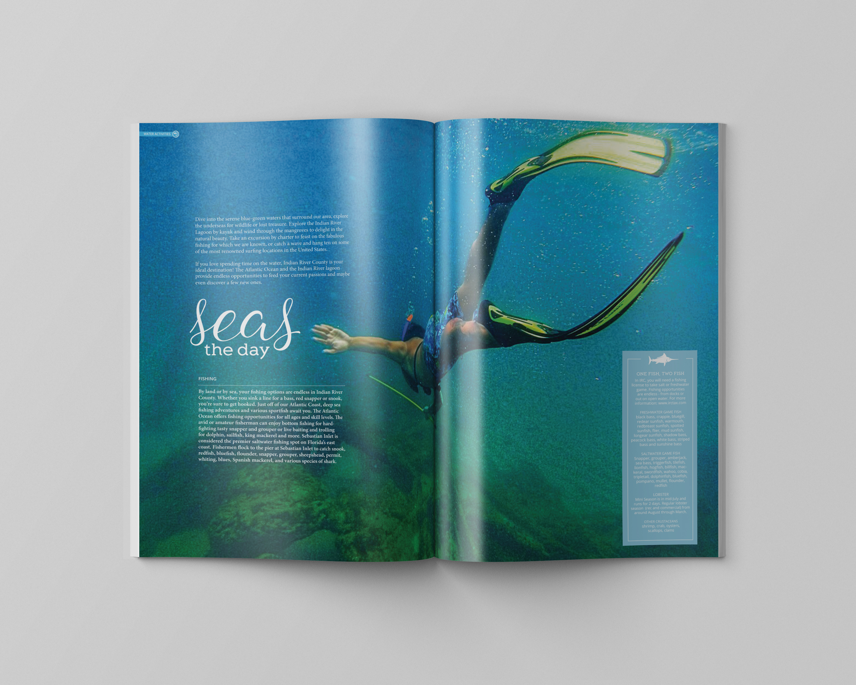 Case Study Indian River County Chamber of Commerce Tourism Squared