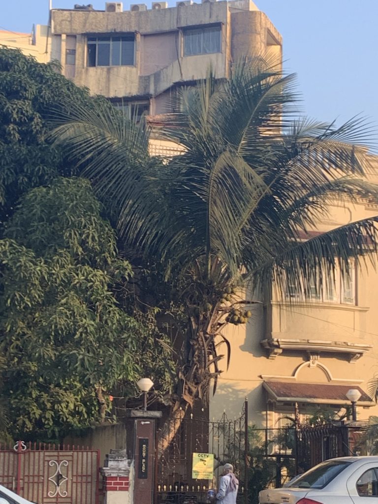 Sushant shifted in Bandra flat 6 months ago, was to reside here till