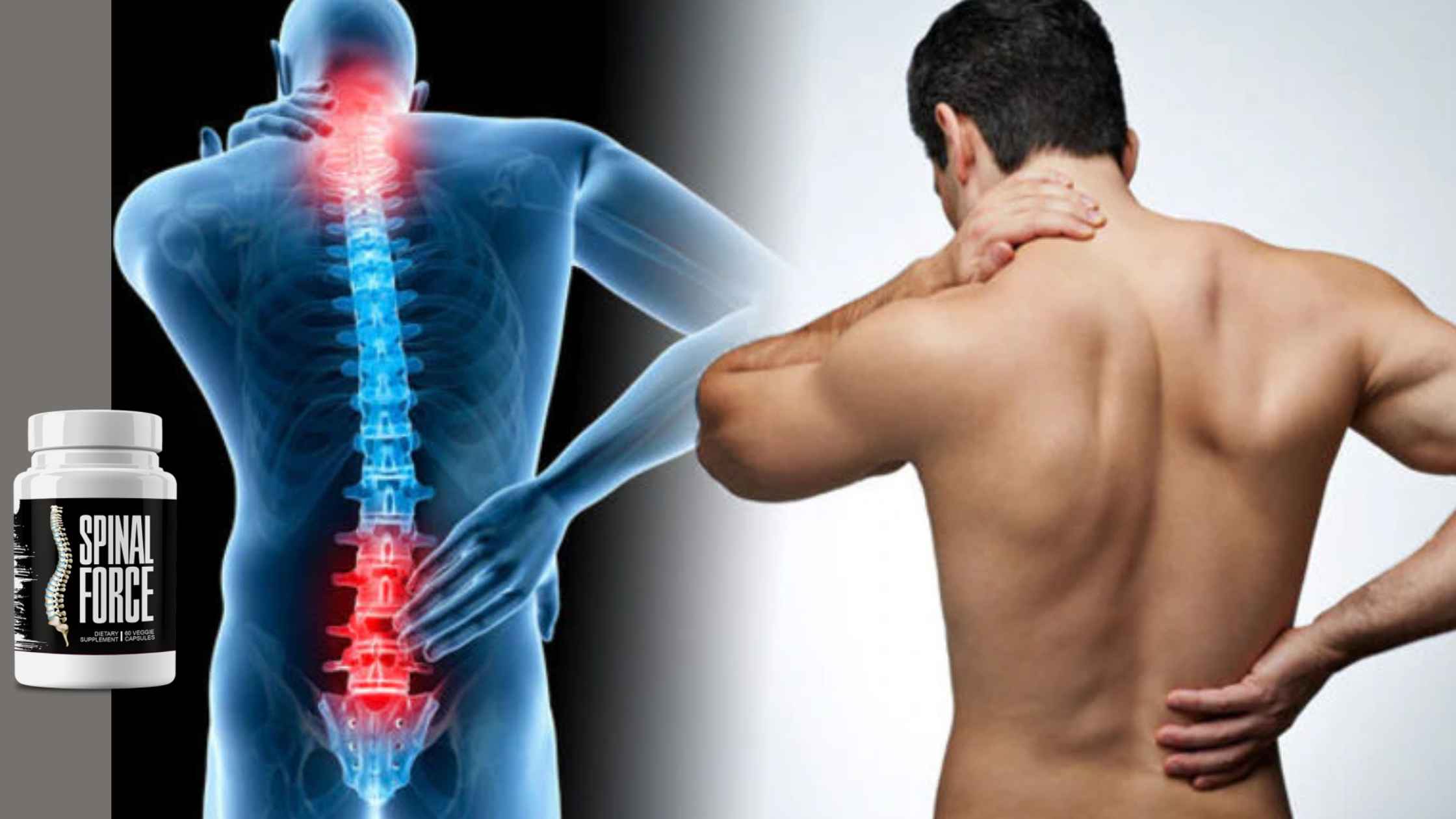 Spinal Force Reviews Check The Ingredients List Here!