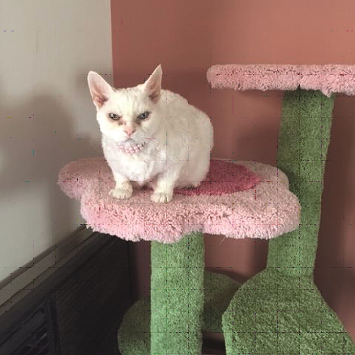 Unique Cat Furniture Square Paws