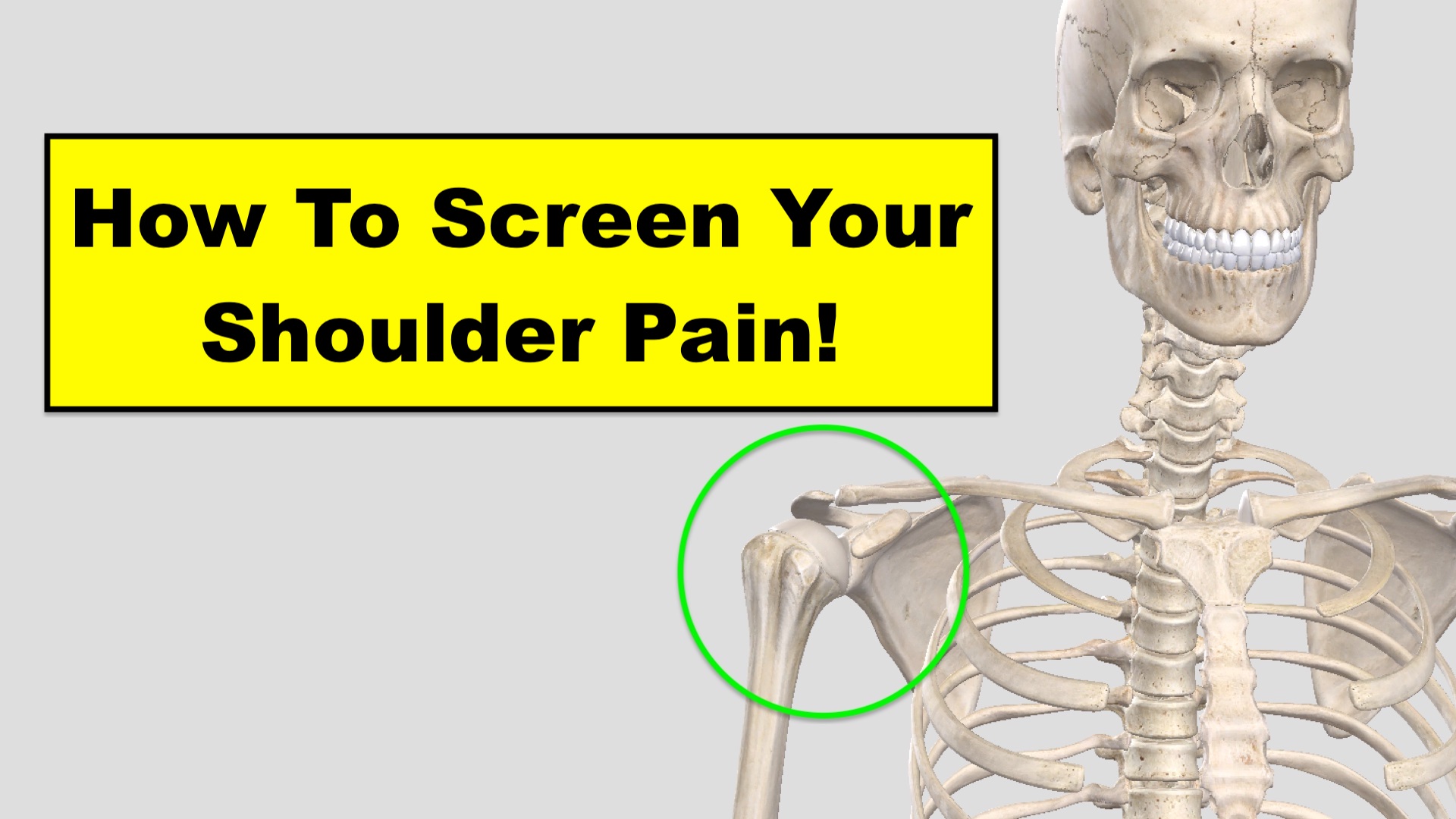 How To Screen Your Shoulder Pain Squat University