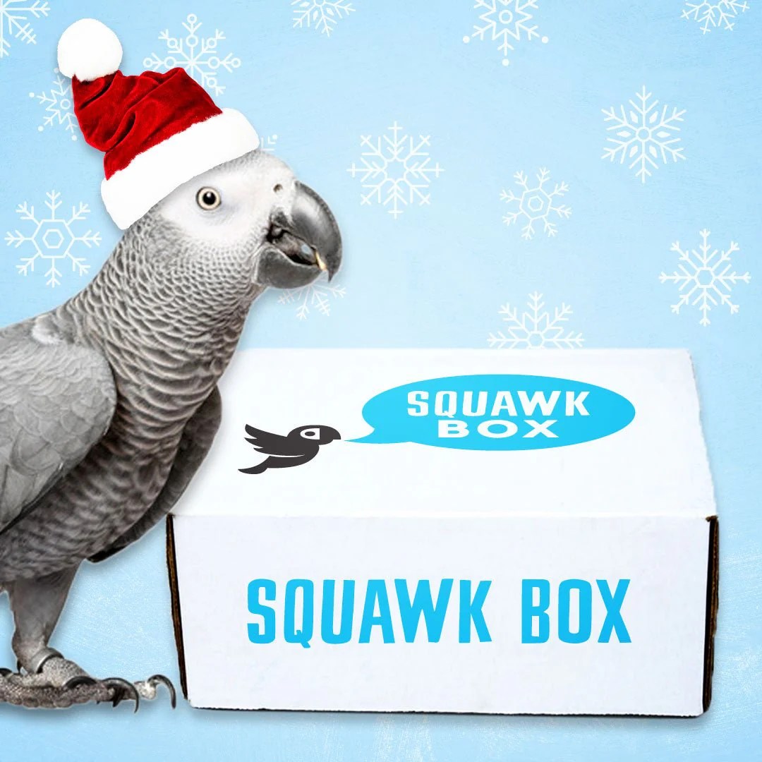 10 best gifts for birds and bird lovers this 2022 holiday season