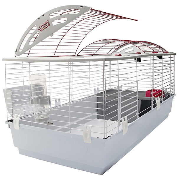 Guinea Pig Cage Size Guide The Best Homes For Guinea Pigs