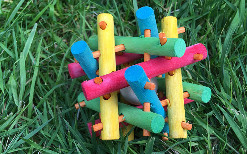 The Best Guinea Pig Toys Reviewed By Our Own Guinea Pigs