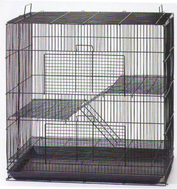 How Big Should A Rat Cage Be? A Rat Cage Size Guide