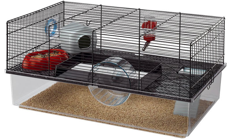 A Complete Dwarf Hamster Care Guide, From Feeding To Housing And More