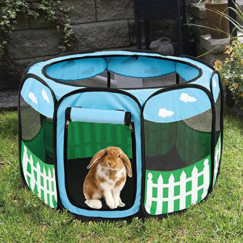 The Best Guinea Pig Playpens And Runs Reviewed