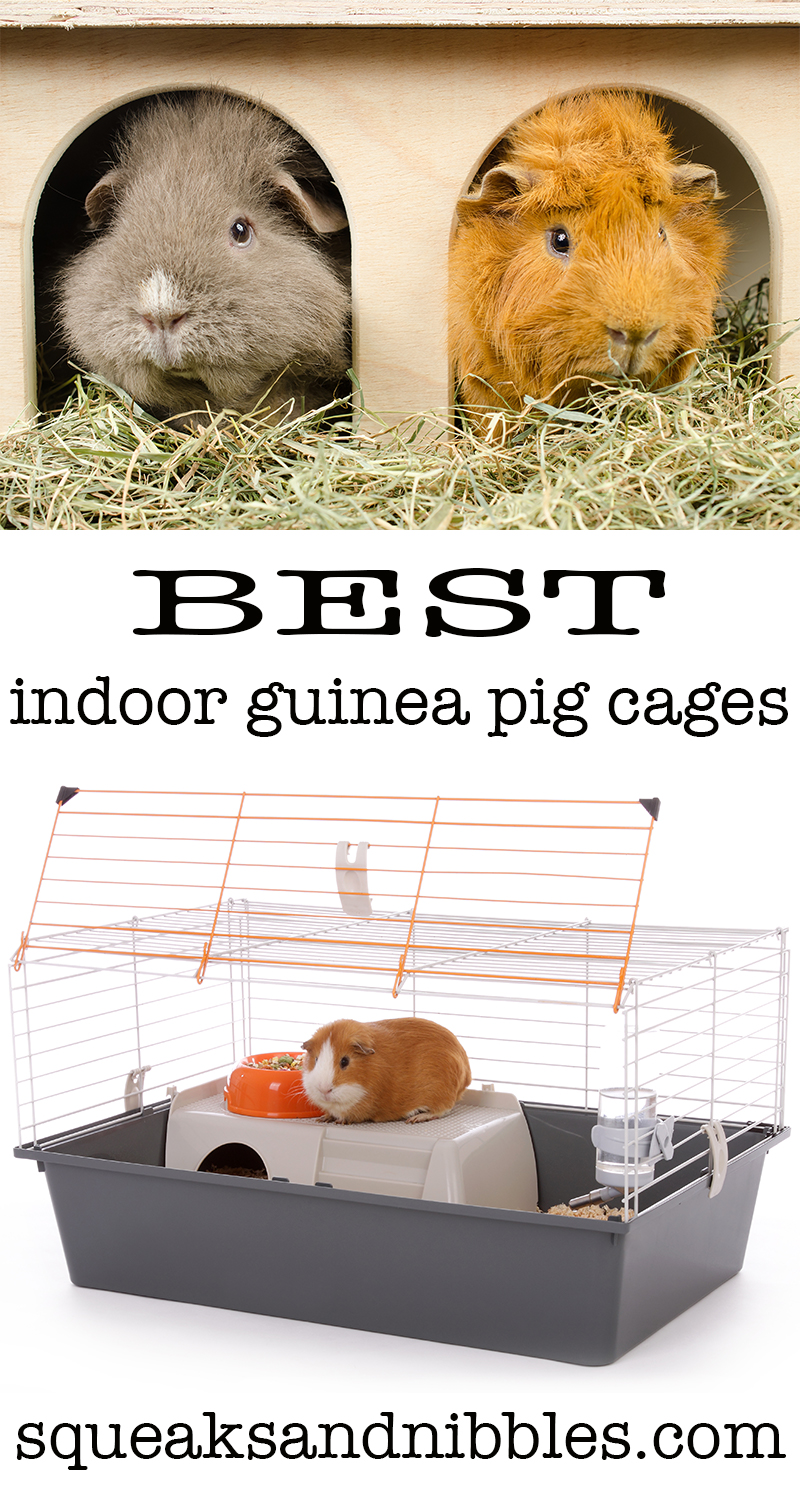 Best Indoor Guinea Pig Cages, Hutches, and Runs Reviewed