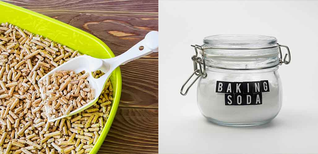 Can You Put Baking Soda In Cat Litter?