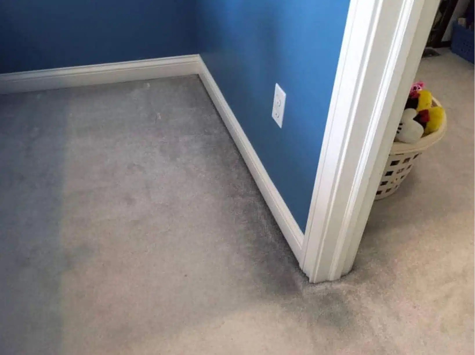 The Complete Guide to Stopping Filtration Soiling of Your Carpet