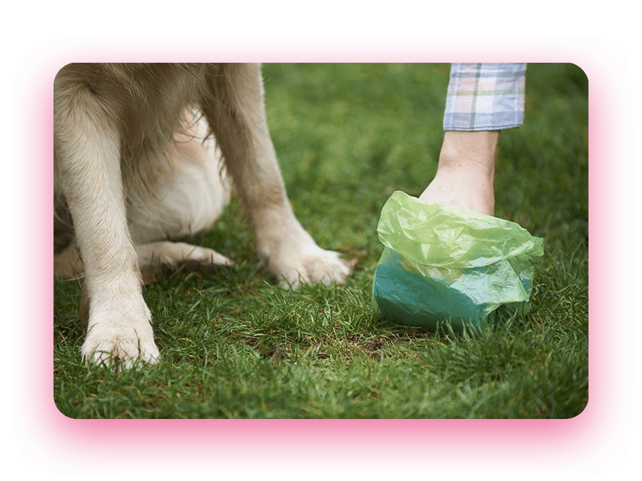 Customer Story Pest Waste Management Business