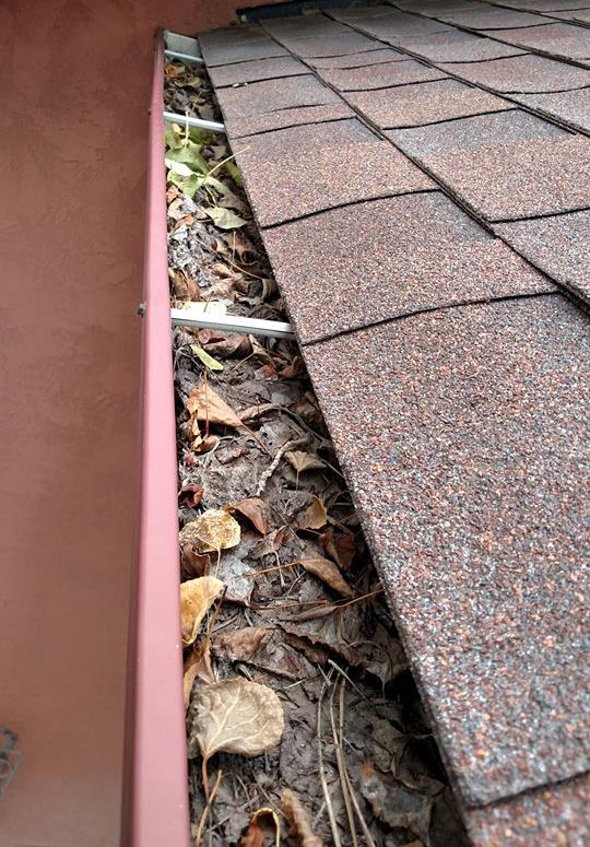 Services Squeegee Monkey Window Washing