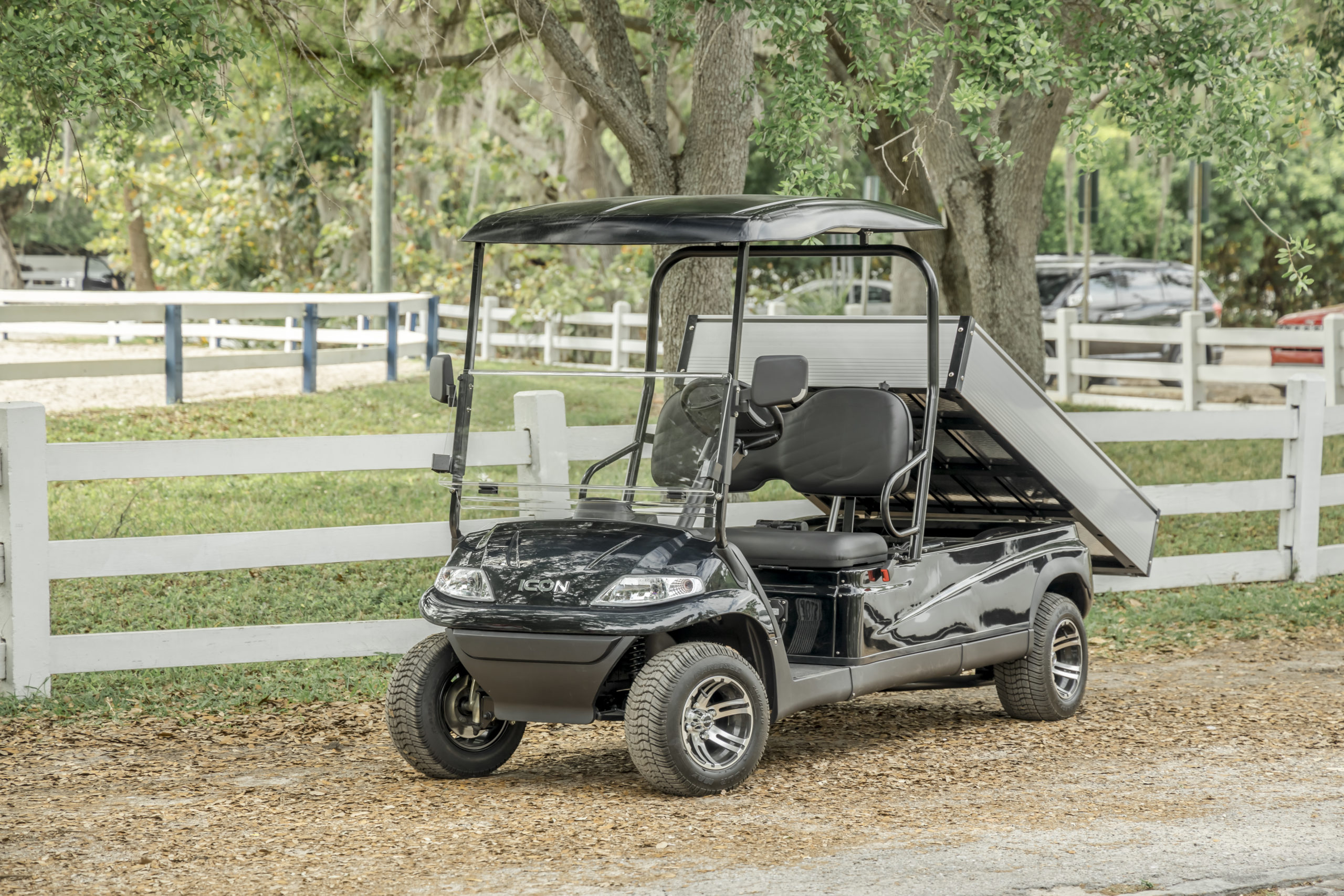 Golf Carts vs. UTVs Icon Superstore