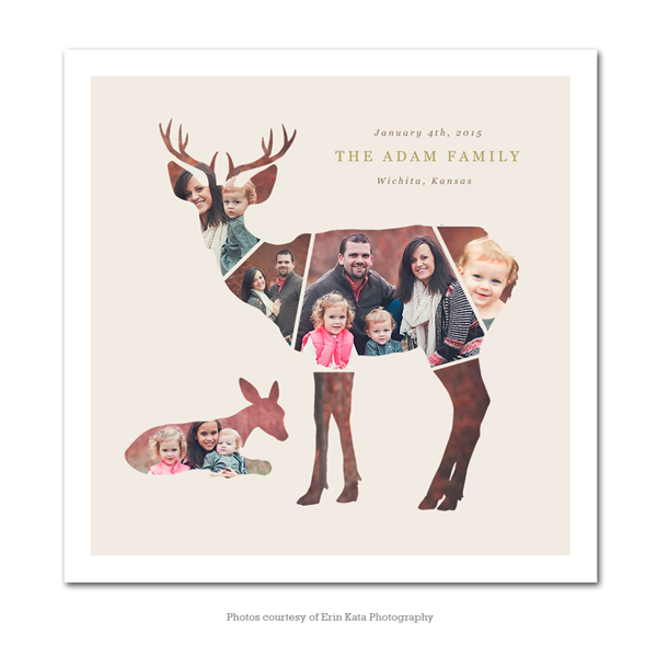 Deer Shape Collage Wall Art