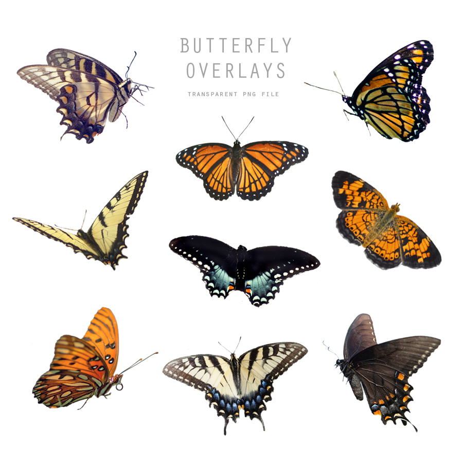 Butterfly Overlays