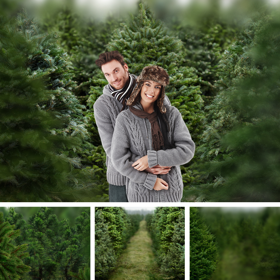 Christmas Tree Farm Digital Backdrops (16 x 20)