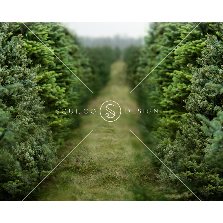 Christmas Tree Farm Digital Backdrops (16 x 20)