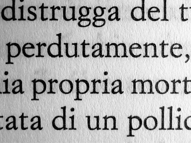 Dove lei non è Squilibri