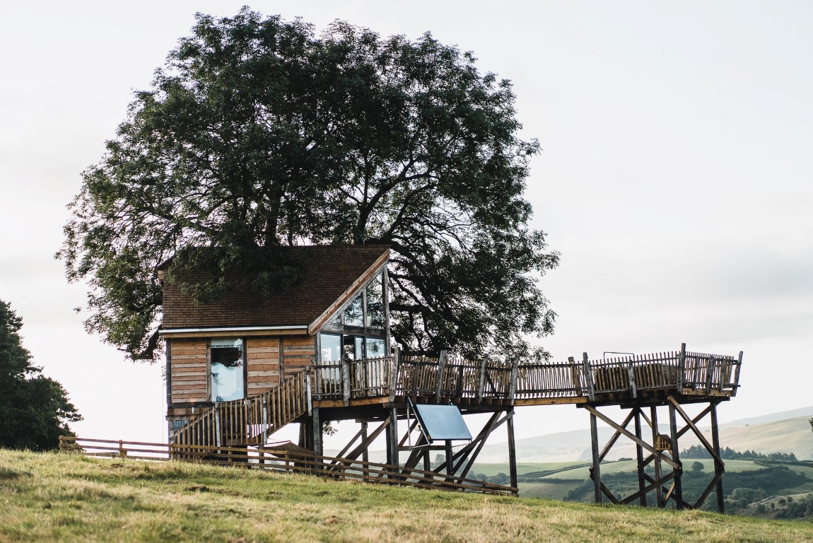 Gallery Squirrel's Nest Treehouse Retreat