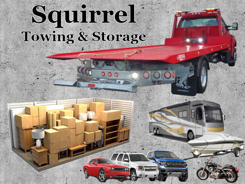 Squirrel Towing, Storage, and Shed Moving Greenville, Taylors, Greer