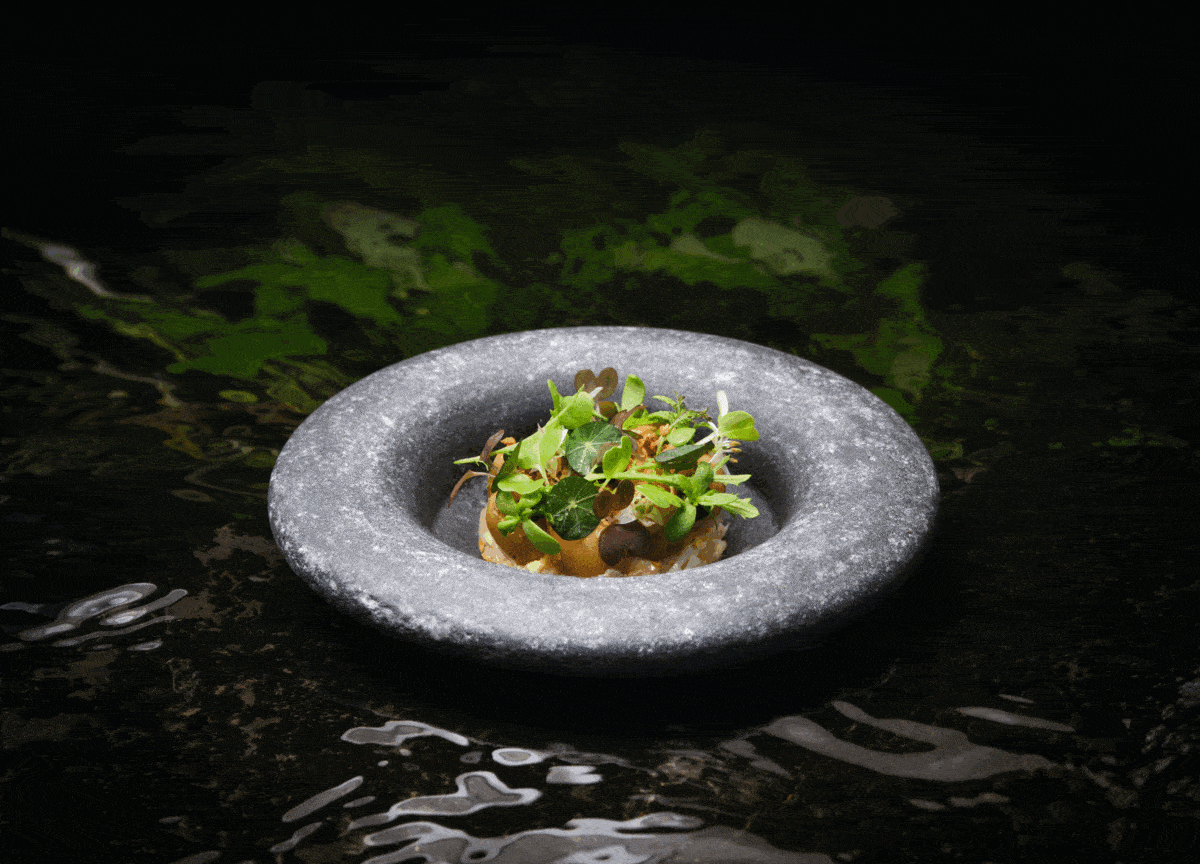 Bank Holiday Christmas 2024 Willi Julienne