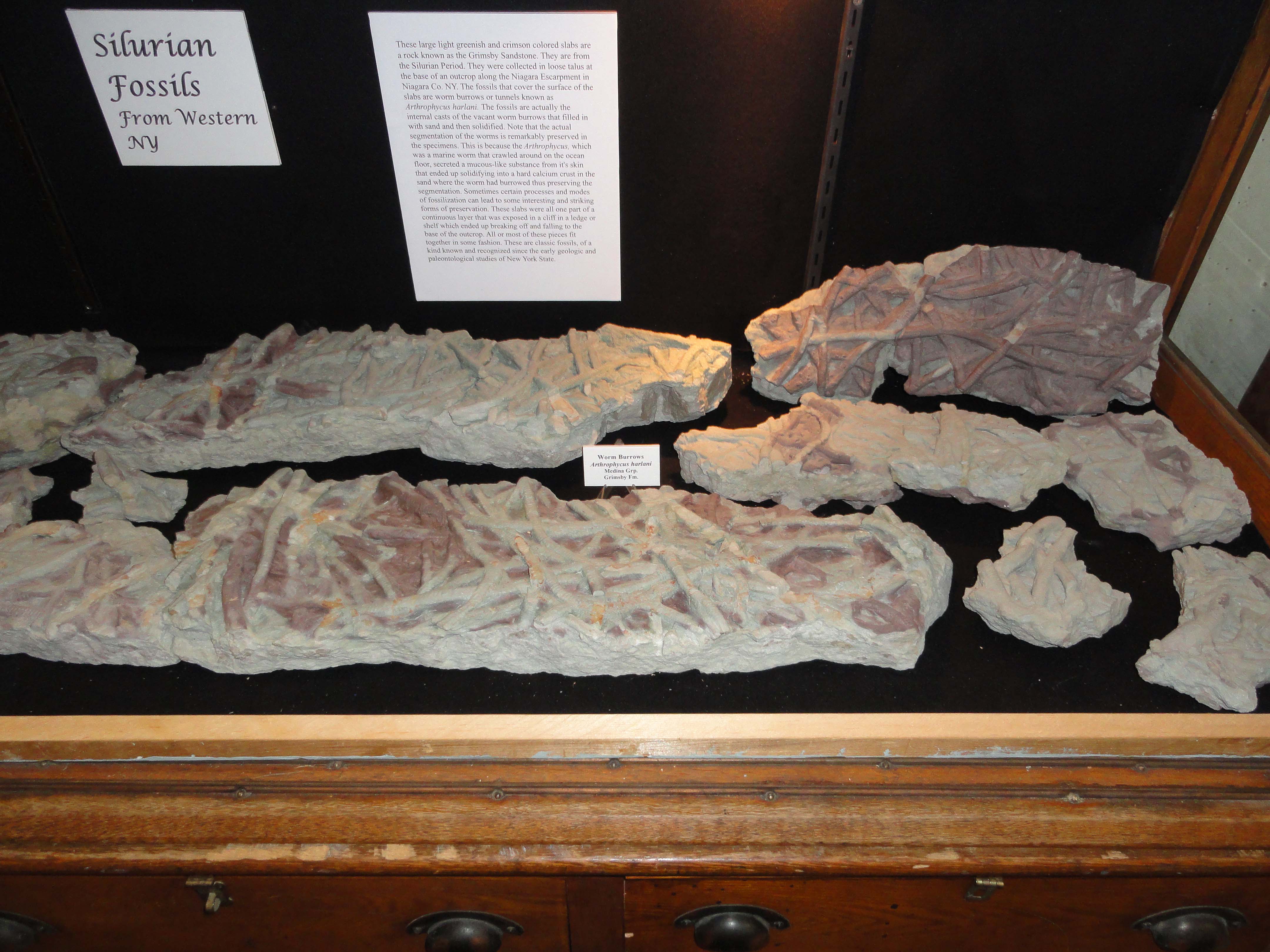 DSC01314 Susquehanna River Archaeological Center, (SRAC)