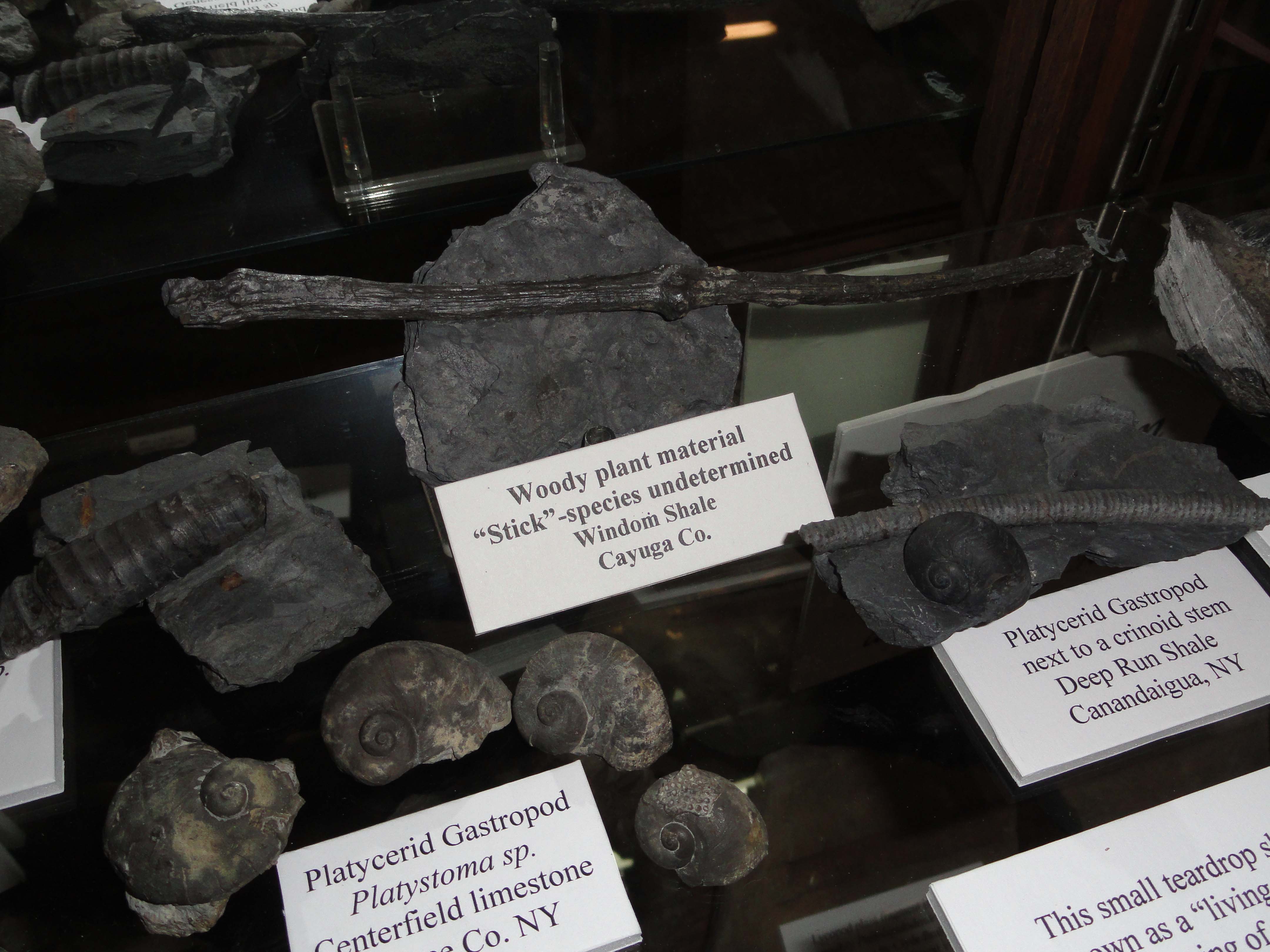 DSC01295 Susquehanna River Archaeological Center, (SRAC)