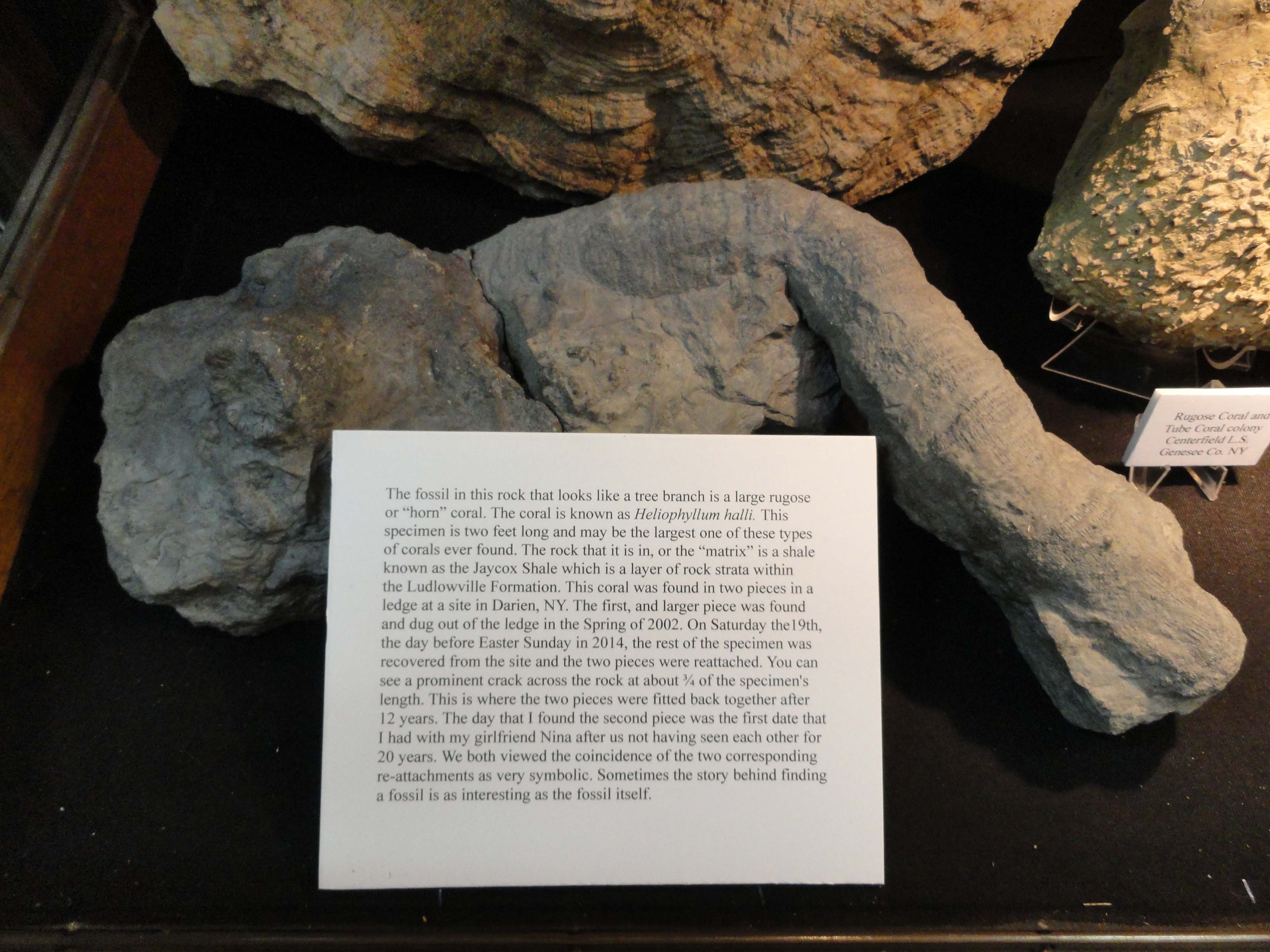 DSC01317 Susquehanna River Archaeological Center, (SRAC)