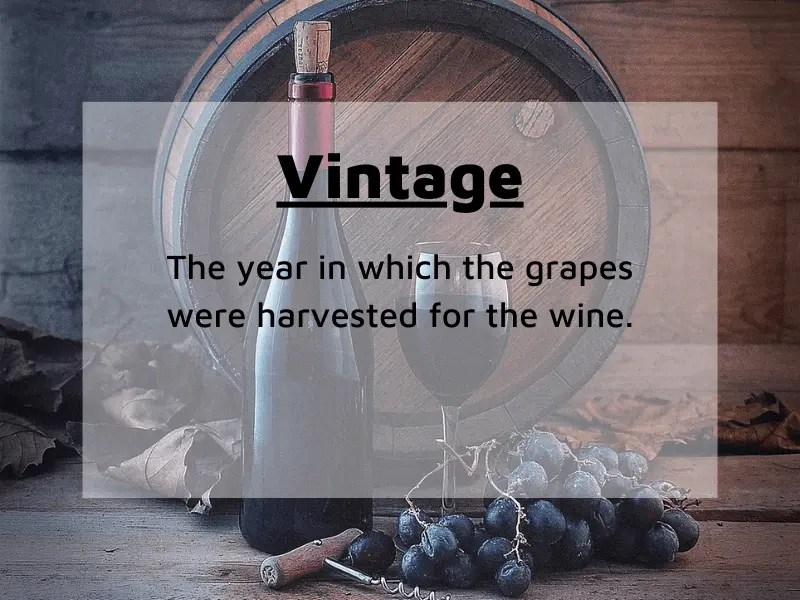 Wine terms Glossary Sraml