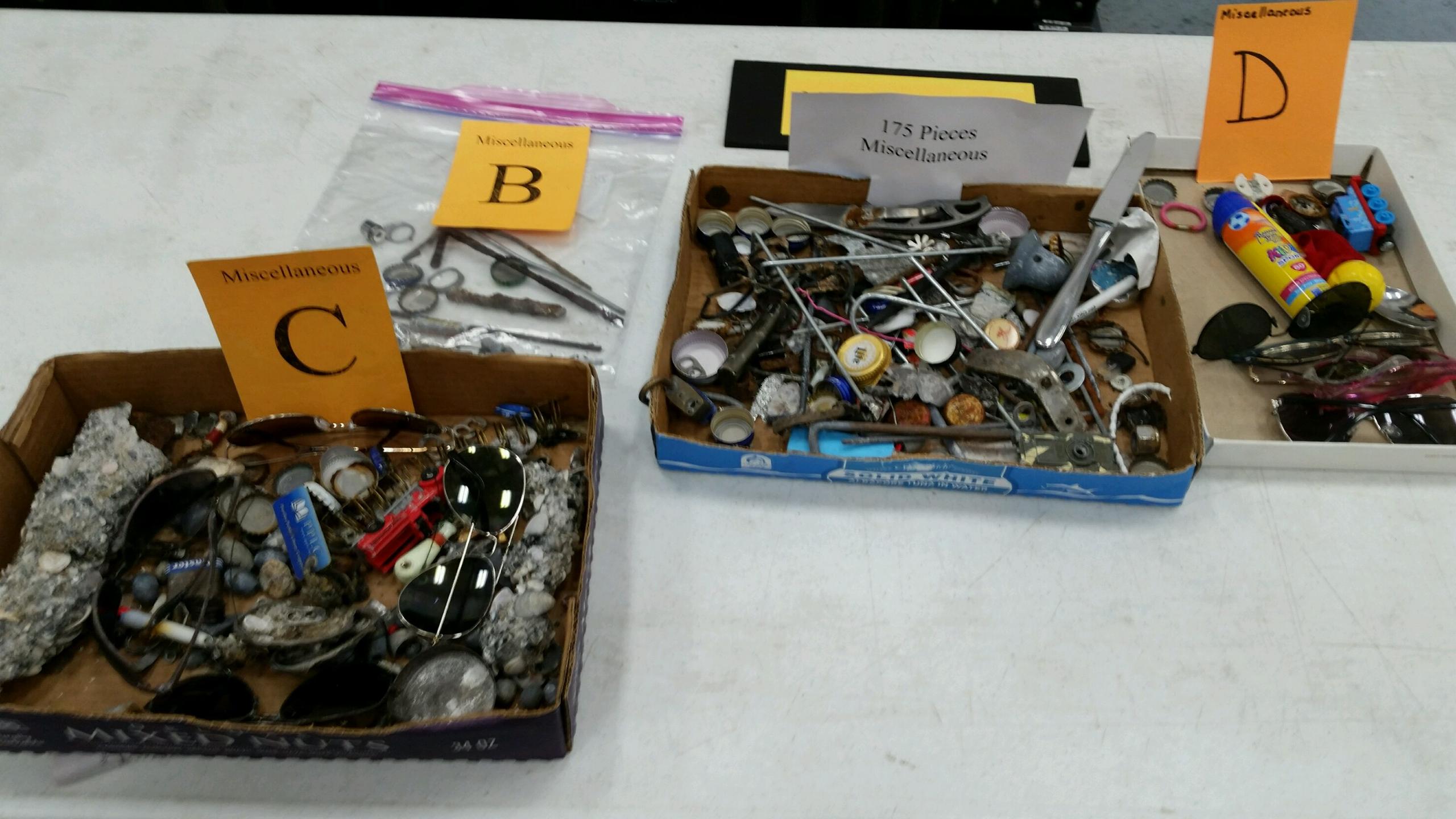 Metal Detecting Tampa Bay Search & Recovery