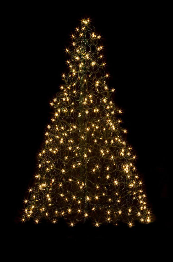 St. Raymond Catholic Church in Dublin Tree Lighting & Christmas