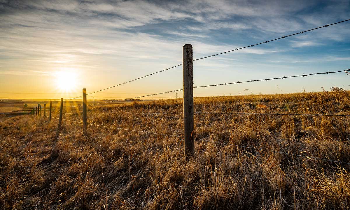 Your Guide to Starting a Ranch and Making Money on SellerFinanced Property SRC Land