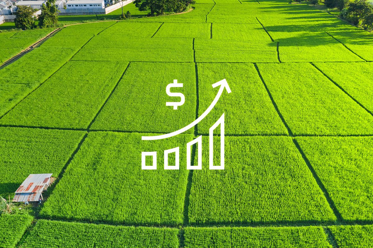 5 Ways to Increase the Value of Your Rural Property! SRC Land