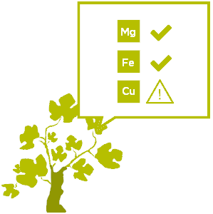 Conseil agro-œnologique