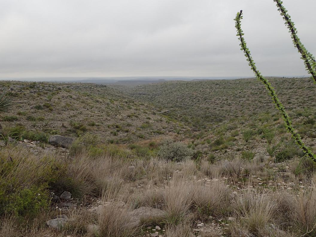 230.00 acres south of Sanderson in Sanderson River Ranch