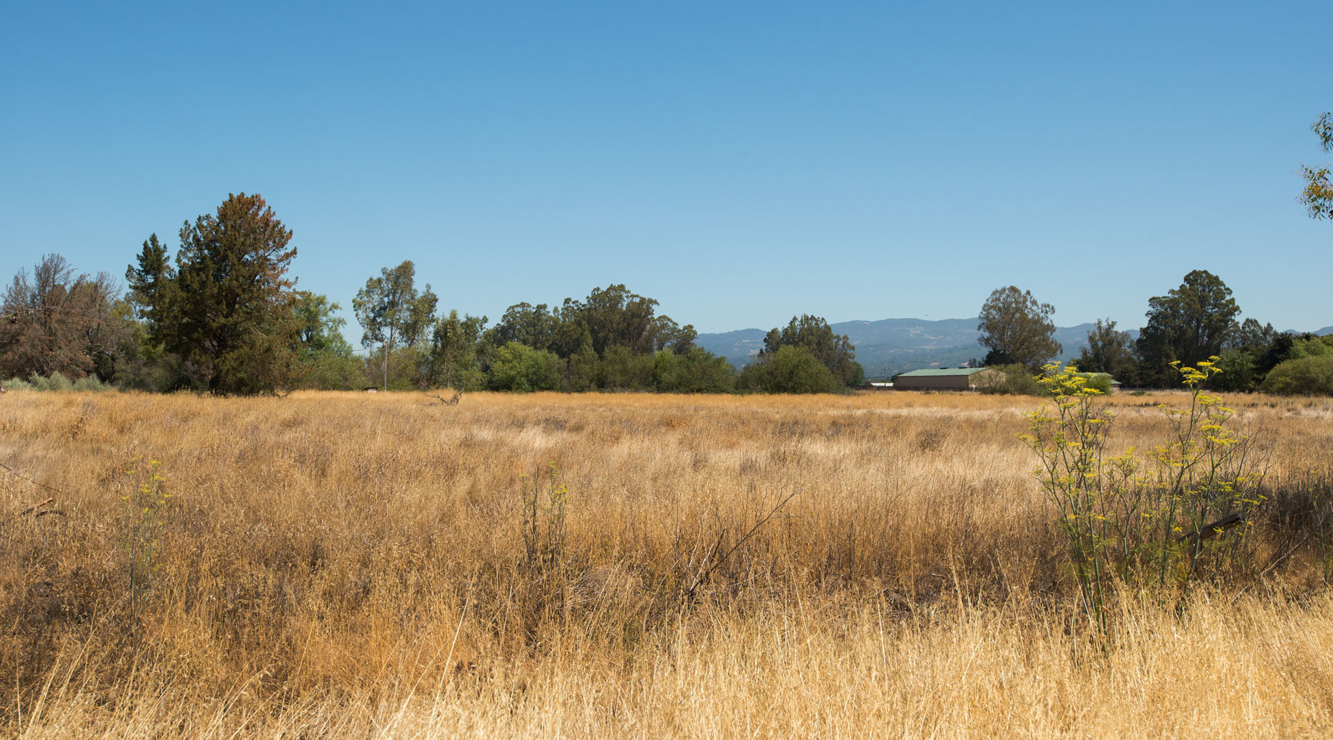 Sonoma Valley Development Land for sale