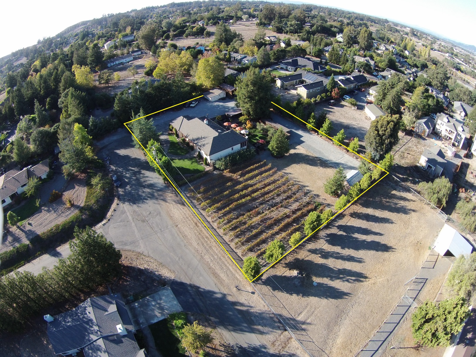 Penngrove Entertainers Dream