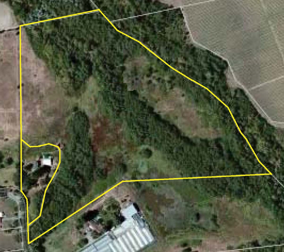 Sebastopol Country Property for sale