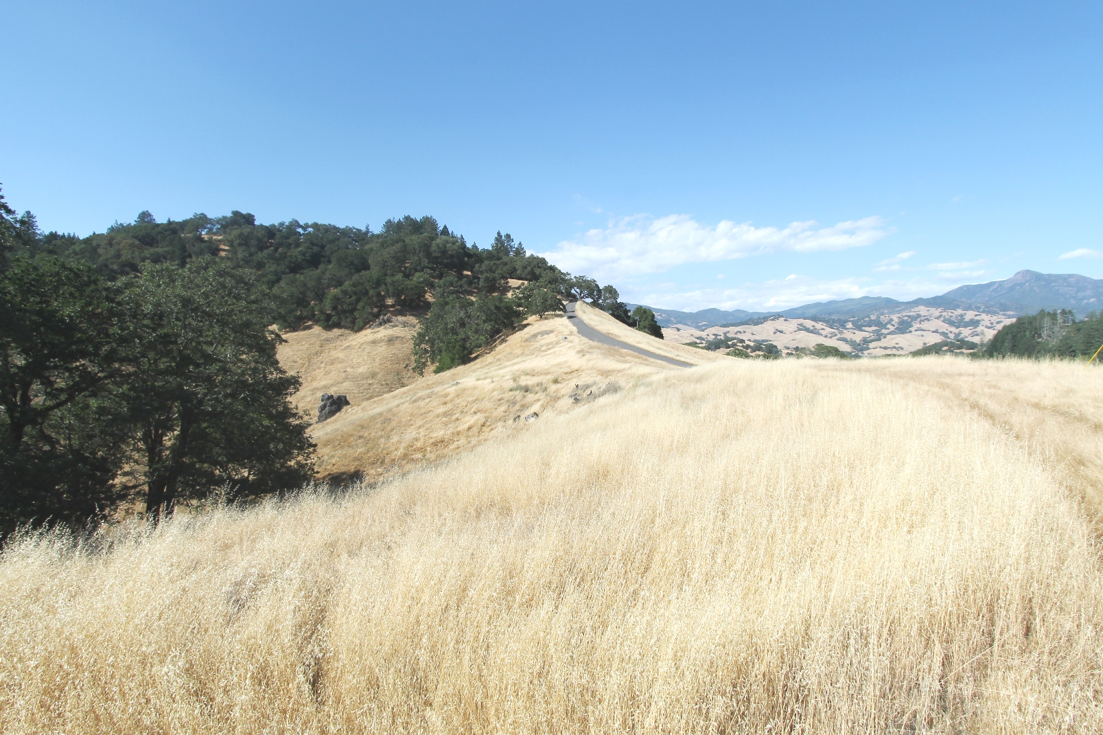 Knights Valley Wine Country Estate Parcel