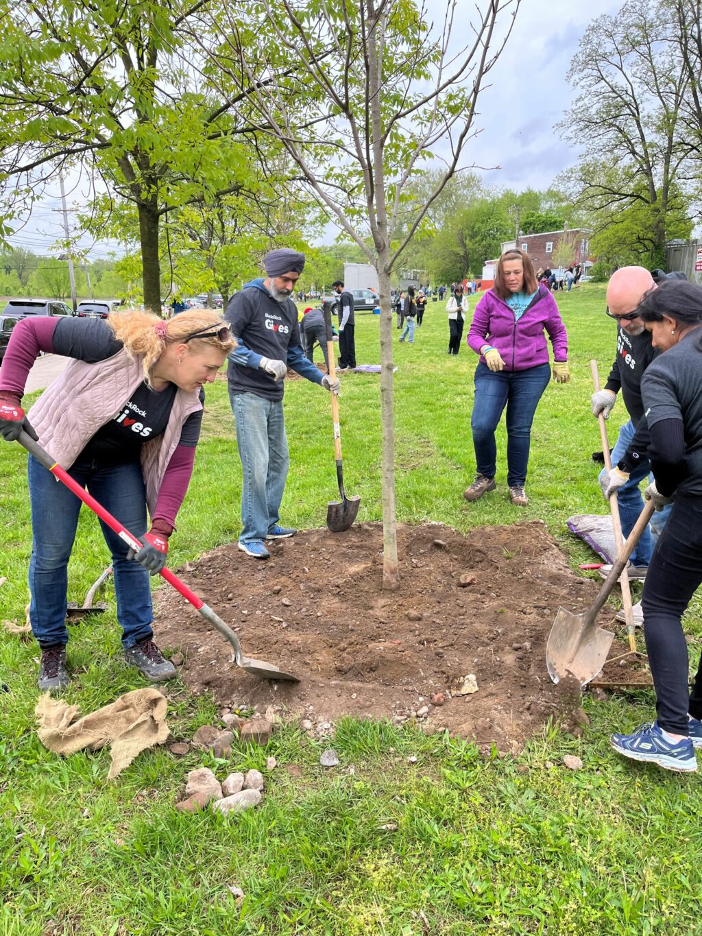 Trees Change Camden, Other Urban Cities in New Jersey New Jersey