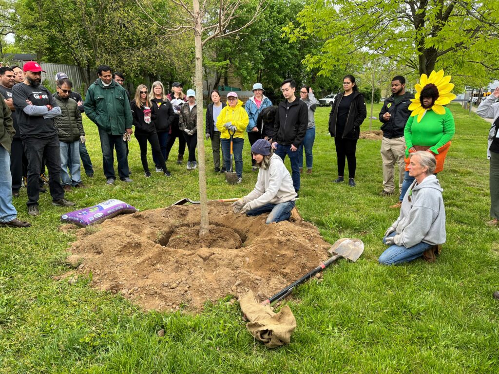 Trees Change Camden, Other Urban Cities in New Jersey New Jersey