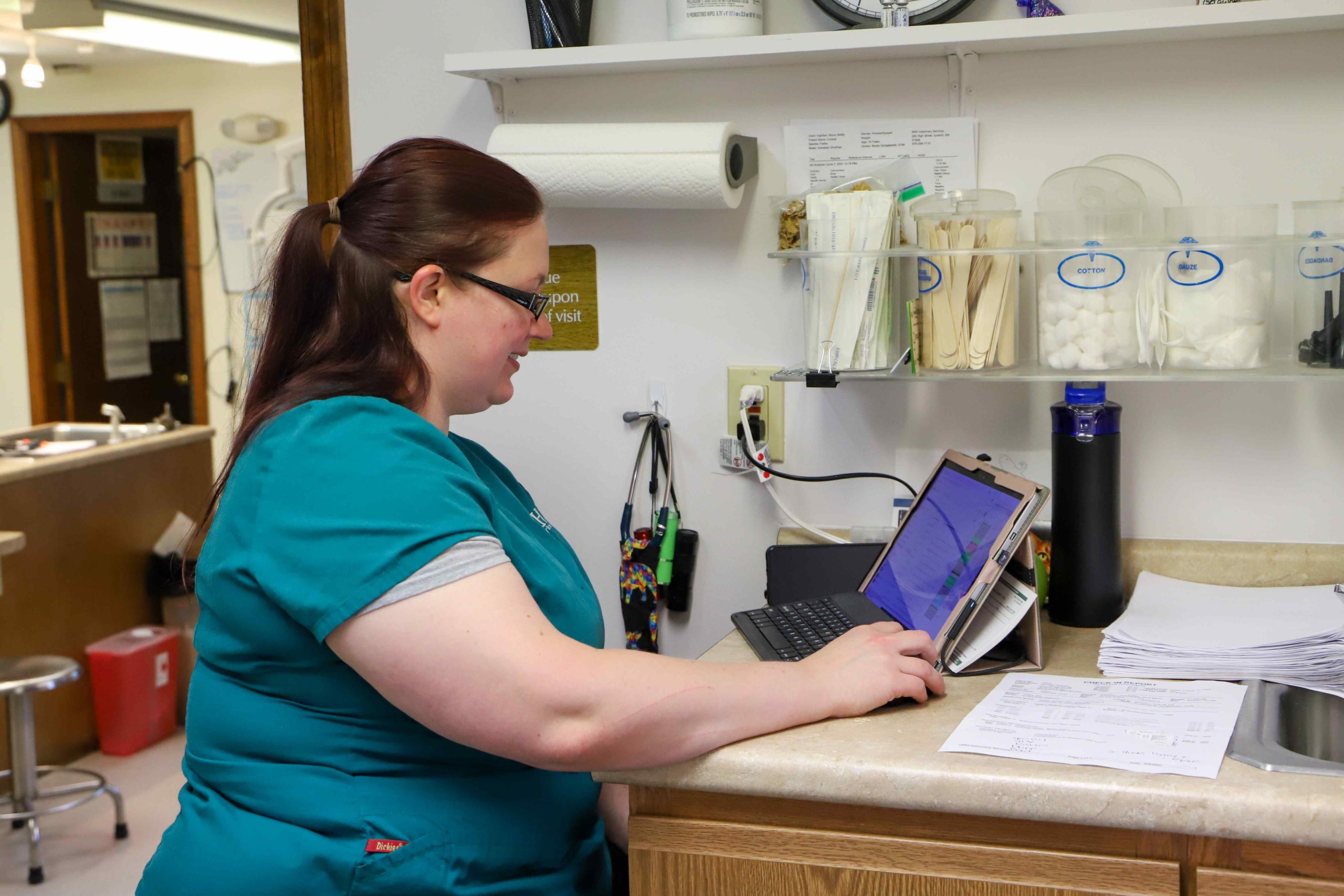 Our Veterinarians in Ipswich are accepting new patients