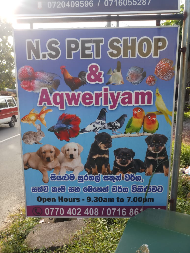 N.S PET SHOPathurugiriya pet shoppet shop in athurugiriyaanimal sale