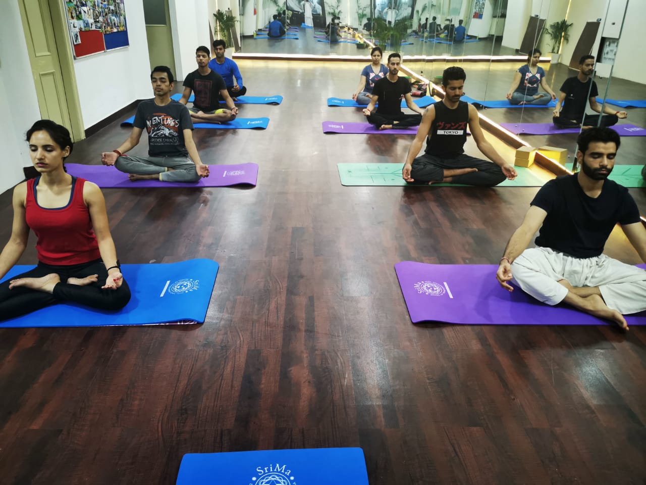 500 Level Yoga Teacher Training SriMa