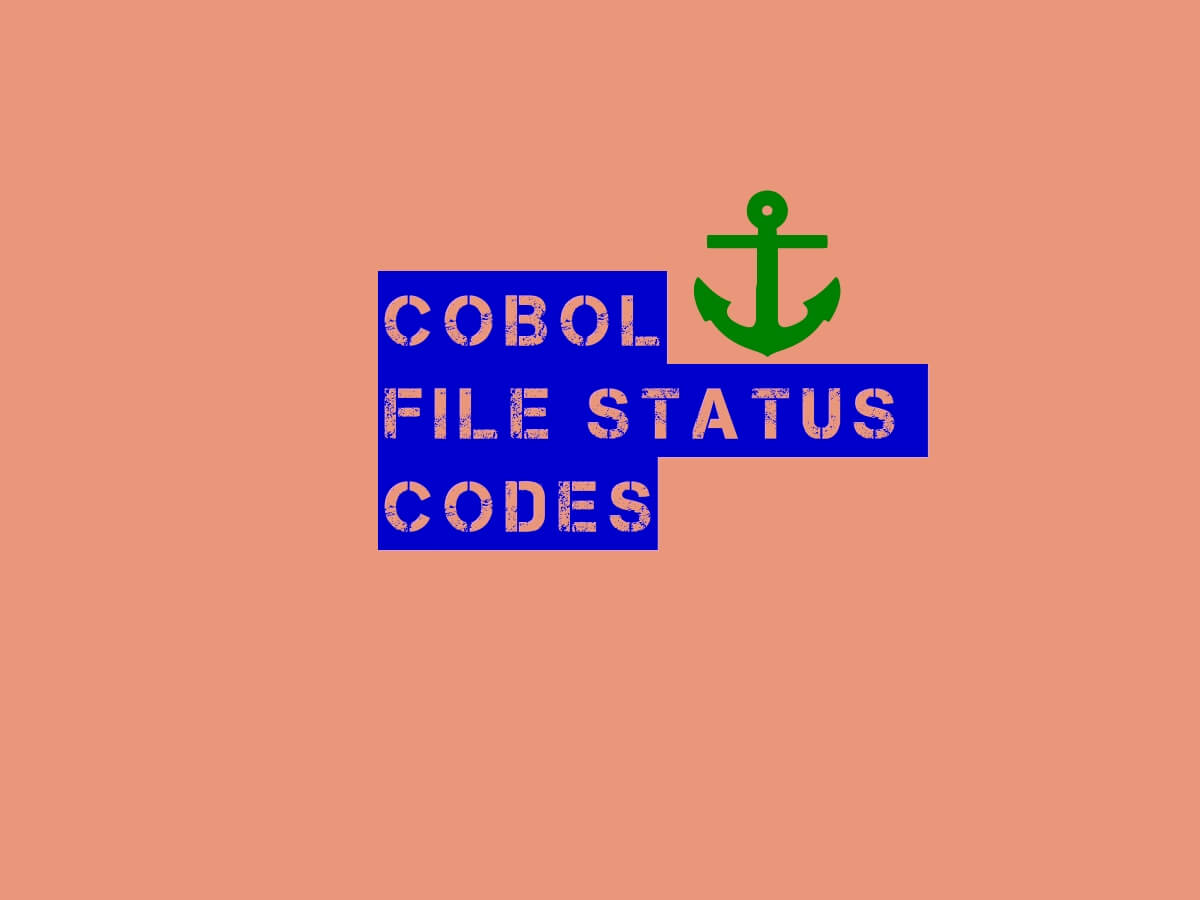 COBOL File Status Codes How to Understand Quickly Srinimf
