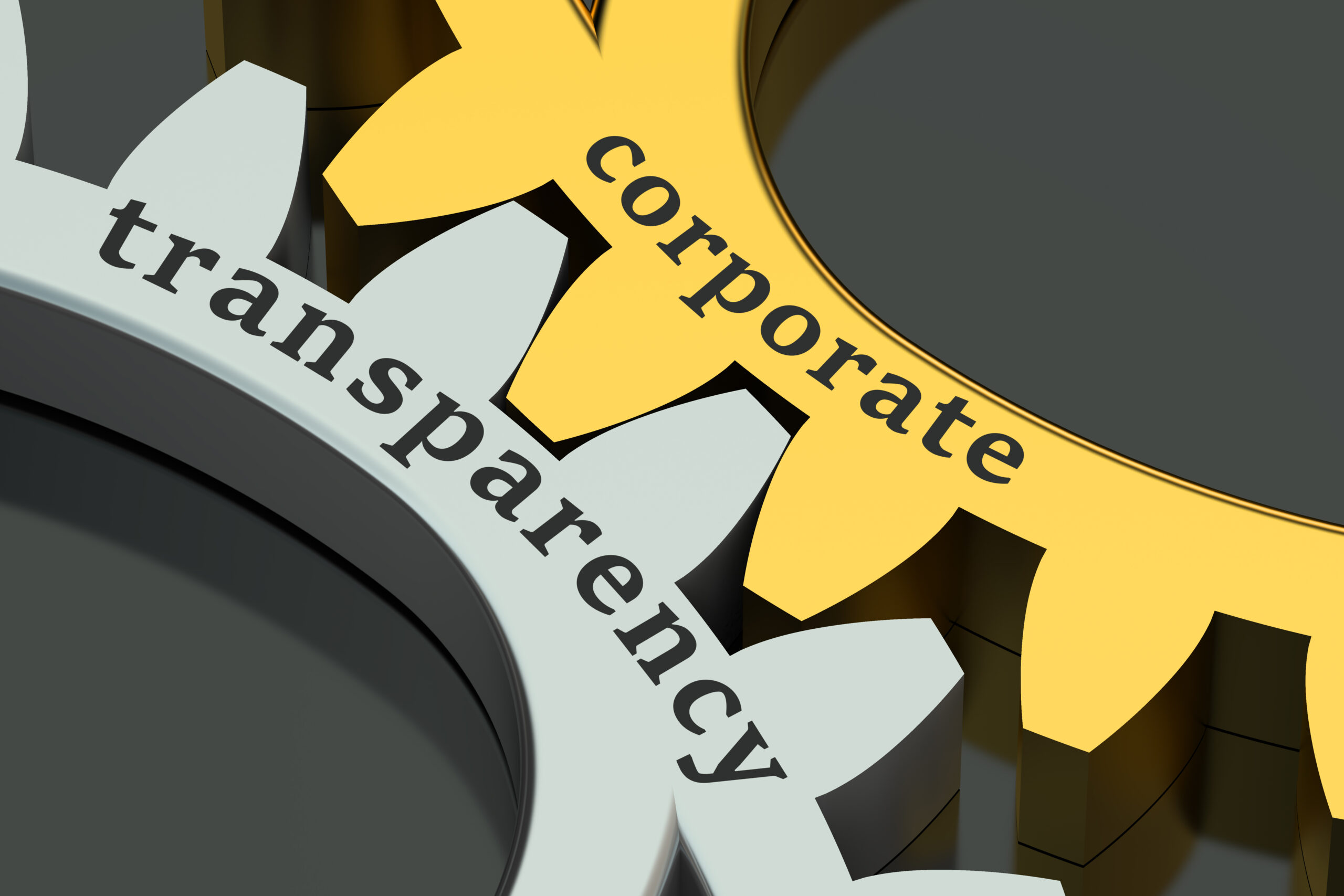 The Corporate Transparency Act Why All Small Business Owners, Investors, and Their Lawyers May