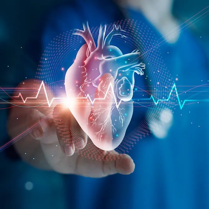 Cardiac Surgery SRV Hospital