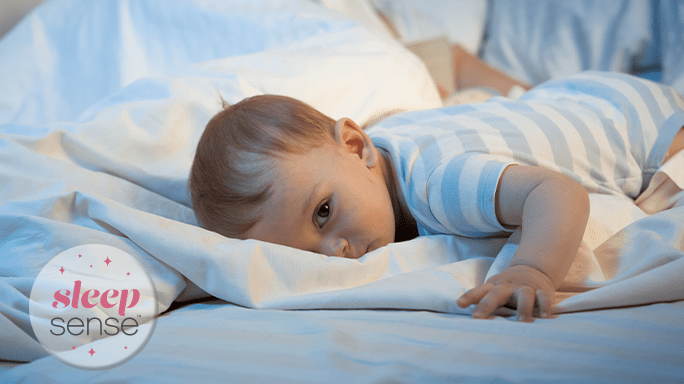 Light Sleeper 2 The Sleep Sense Program by Dana Obleman
