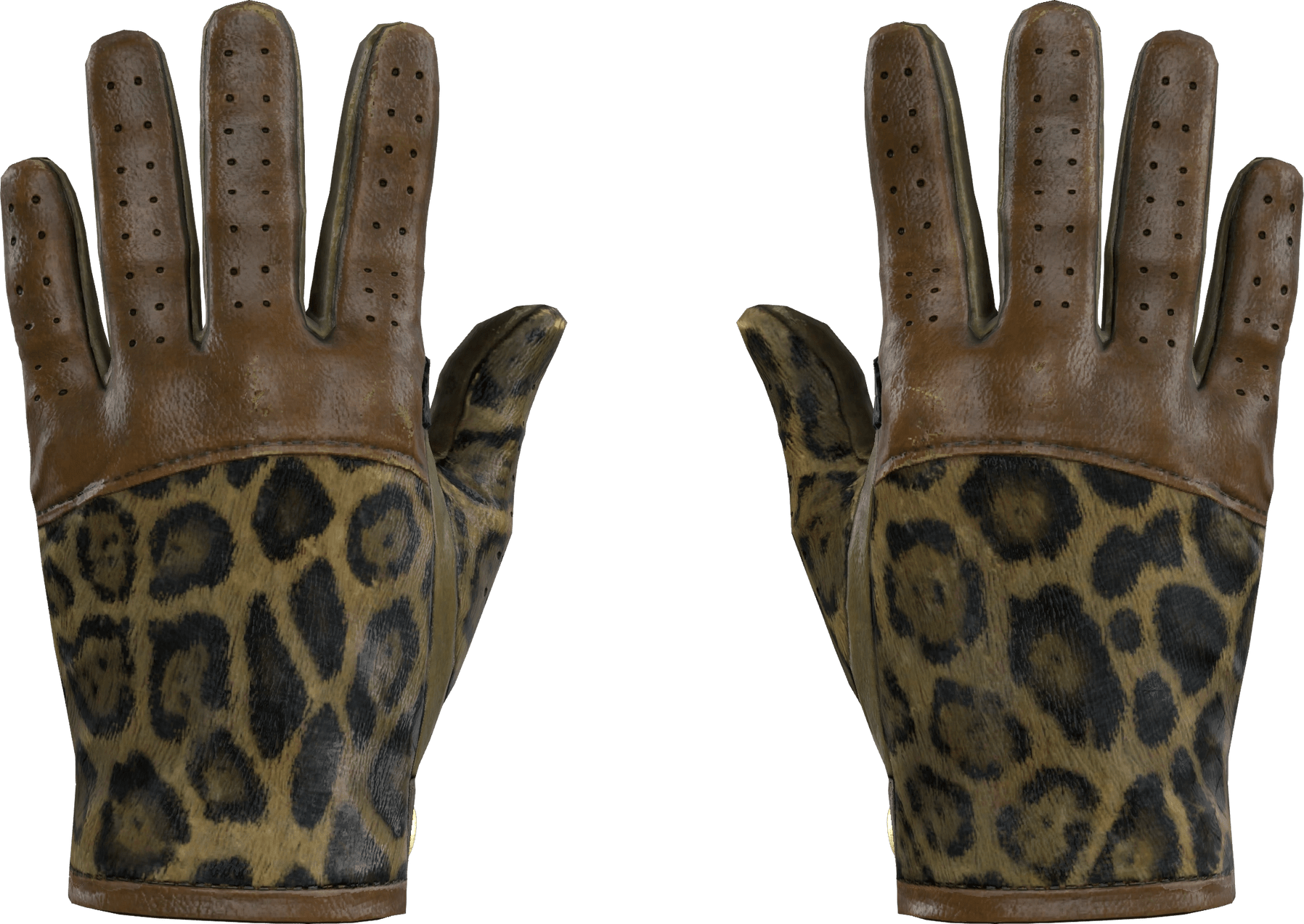 Driver Gloves Queen Jaguar (FieldTested) CS2 Skins Find and